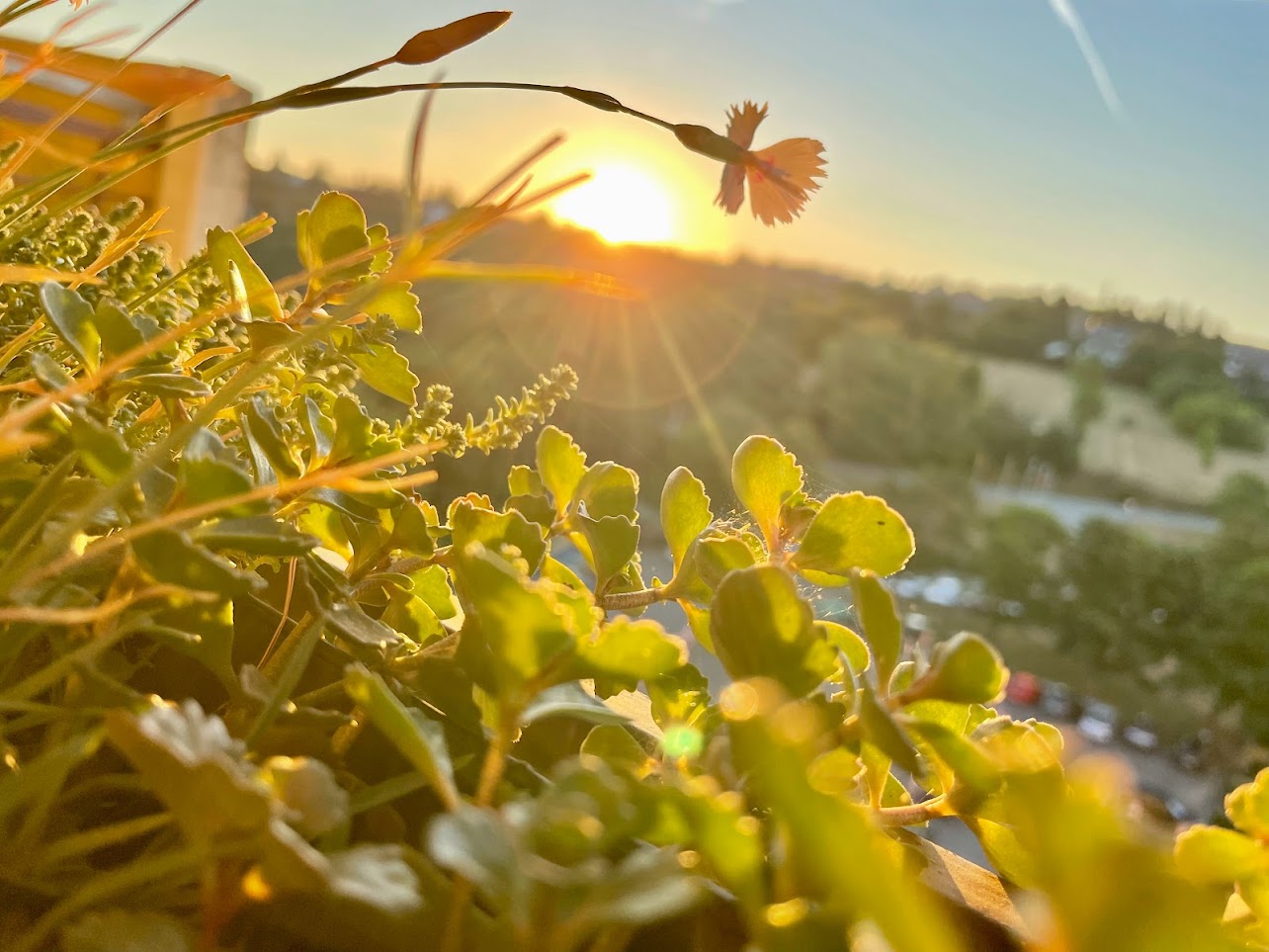 Gudrun und Hans-Peter Kosensky - Header 3
